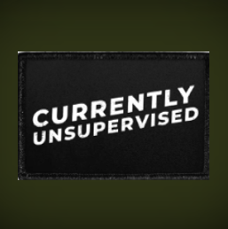 Currently Unsupervised
